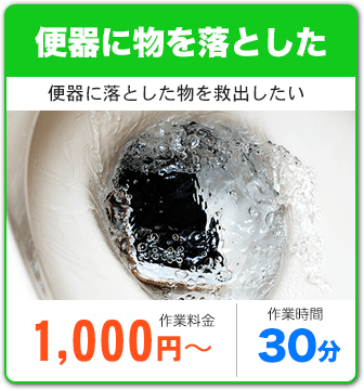 トイレに物を落とした