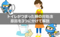 トイレがつまった時の対処法～原因を3つに分けて解説