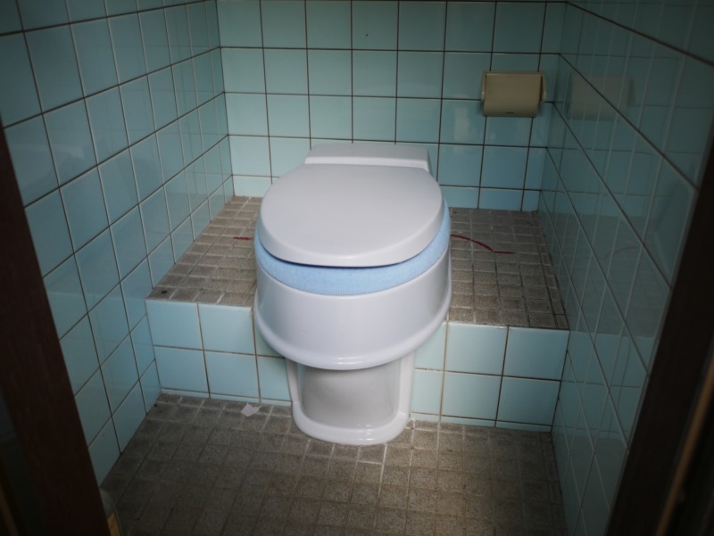 どうしても和式トイレを使えないとき