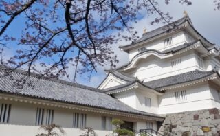 千葉市の人気トイレつまり修理業者5選!信頼できる優良業者で安心!