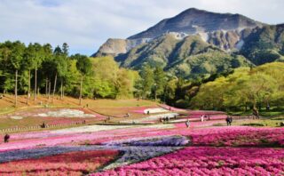 埼玉県のトイレつまり修理業者おすすめ5選!口コミ高評価で厳選!
