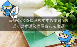 愛媛の水道修理おすすめ業者5選!近くの水道修理屋さんを厳選