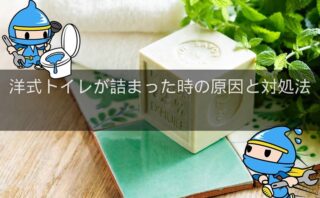洋式トイレのつまりの原因と直し方・業者に依頼するケース