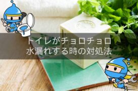 トイレがチョロチョロ水漏れしているときの対処法を徹底解説！