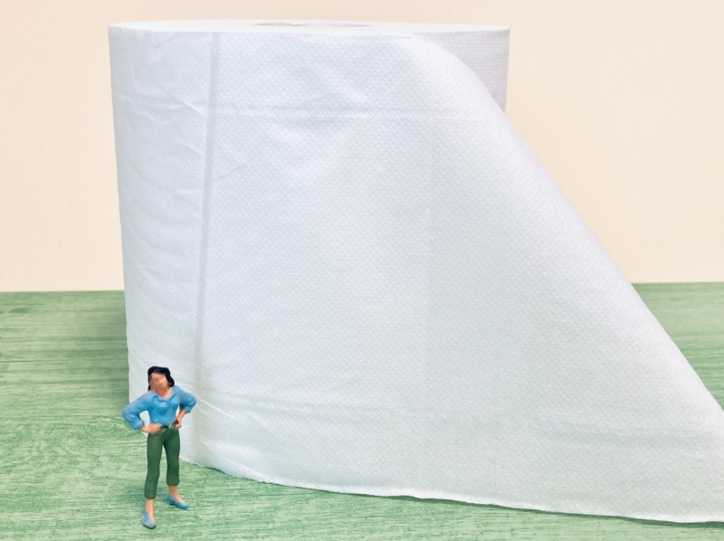 一瞬のトイレつまりなら自分で直せる!予防策と解消法は?