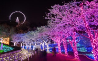 相模原市でおすすめのトイレつまり修理業者5選!料金相場も紹介