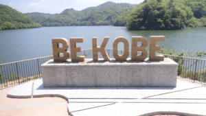 神戸市北区のトイレつまり修理が得意なおすすめ水道修理業者5社を紹介！