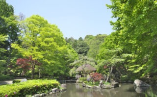 川崎市宮前区でトイレつまり解消が得意なおすすめ水道修理業者5選!