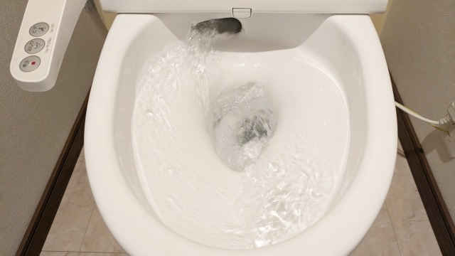 【災害時に使える】バケツを使ったトイレの流し方