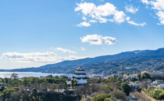 小田原市でトイレつまりを解消できるおすすめ業者5選!実績・経験豊富