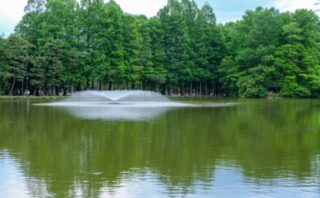 さいたま市見沼区のトイレつまり解消業者5選!料金・口コミから厳選