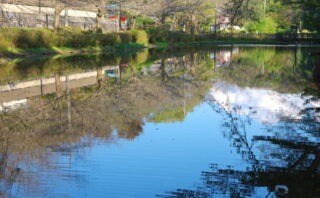 千葉市花見川区でトイレつまり解消業者5選!確かな技術で安心