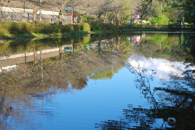 千葉市花見川区でトイレつまり解消業者5選!確かな技術で安心
