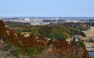 千葉市緑区のトイレつまり解消業者5選!高評価業者を厳選紹介