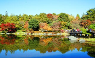 昭島市でトイレつまり解消おすすめ業者5選!口コミ・評判から厳選