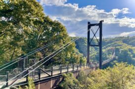 交野市でおすすめのトイレつまり修理業者5選！口コミ高評価で安心