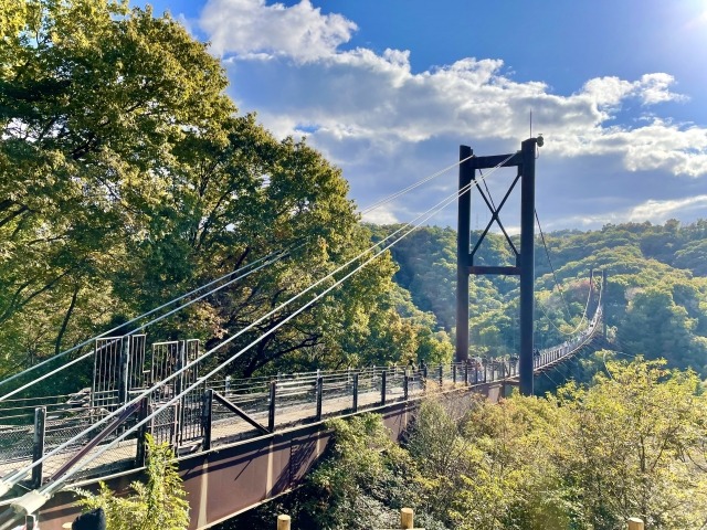 交野市でおすすめのトイレつまり修理業者5選！口コミ高評価で安心