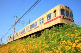 貝塚市のトイレつまり修理おすすめ業者5選！気になる料金や口コミも紹介