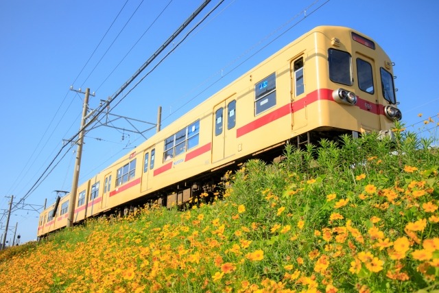 貝塚市のトイレつまり修理おすすめ業者5選!気になる料金や口コミも紹介