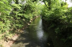 福生市のトイレつまり修理口コミ高評価のおすすめ5業者！