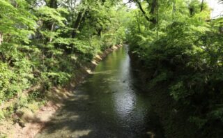 福生市のトイレつまり修理口コミ高評価のおすすめ5業者!