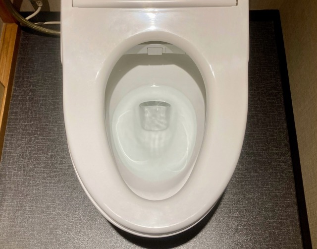 犬・猫・うさぎなどのペットのうんちはトイレに流してはいけない?