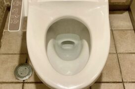 トイレに流してはいけないもの一覧！避けるべきものや流した際の対処法も