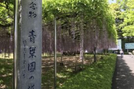 さいたま市西区のトイレつまり修理おすすめ5社｜料金相場と見積もりのポイント