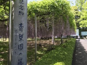 さいたま市西区でおすすめのトイレつまり修理業者5選！相場より安い！