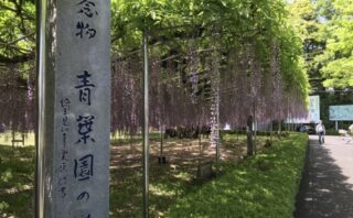 さいたま市西区のトイレつまり修理おすすめ5社｜料金相場と見積もりのポイント