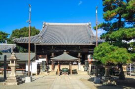 藤井寺市のトイレつまり修理業者おすすめ5選｜料金相場と安く依頼するコツ