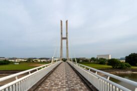 富田林市｜おすすめトイレつまり修理業者5選！優良業者を料金で比較